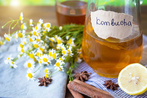 Kombucha for hangover and hanxiety